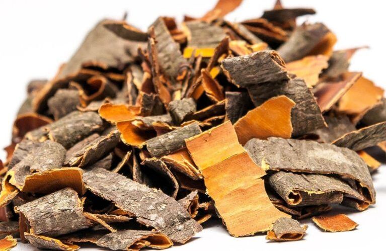 corteza de álamo contra los parásitos