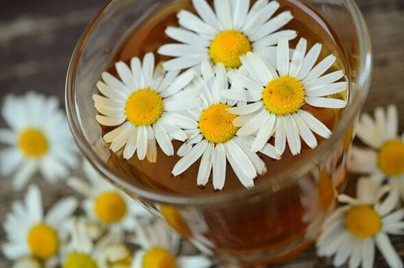 Infusión medicinal a base de manzanilla contra parásitos del organismo.